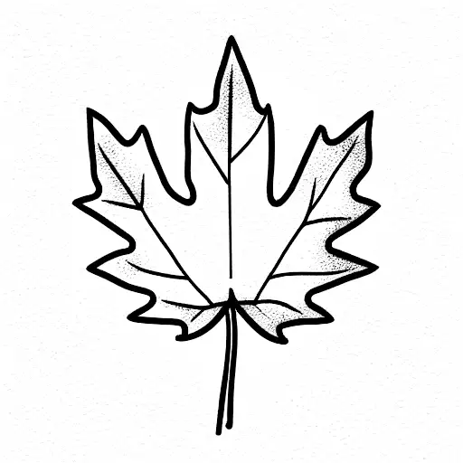 Black And White Fine Line Maple Leaf