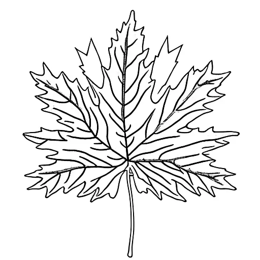 Maple Leaf