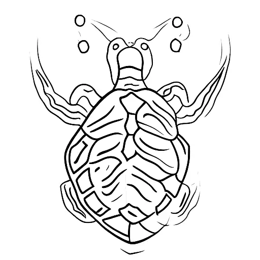 A Minimalist Representation Of A Sea Turtle With A Medical Caduceus Symbol Incorporated