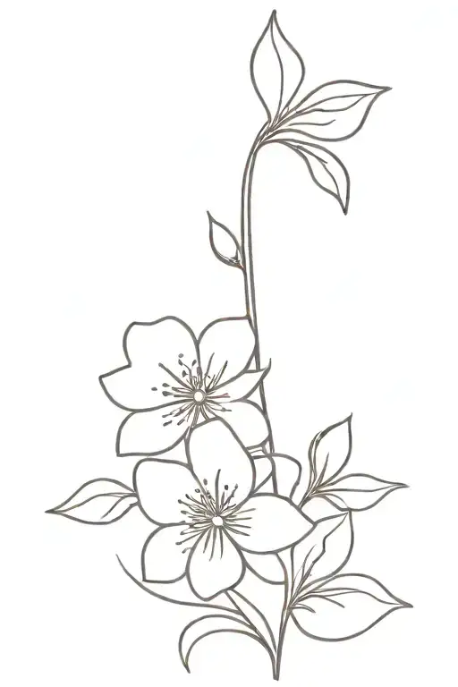 Fine Line Violet Flower