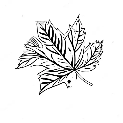 Leaf