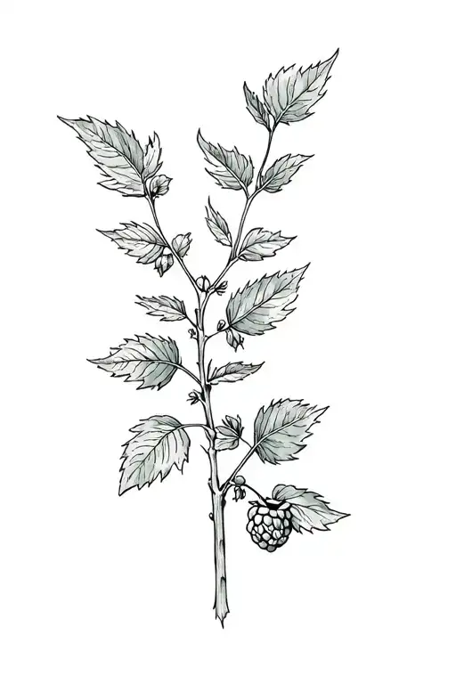 Raspberry Bush Nostalgia