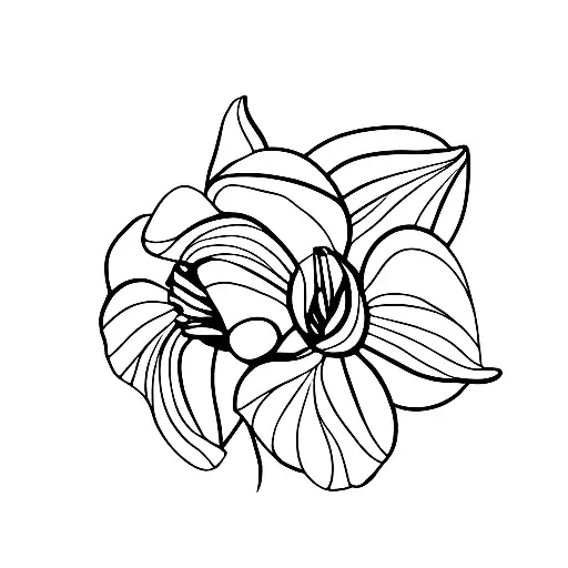 Two Tulips For My Mom