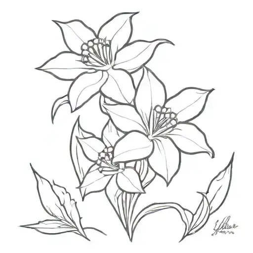 Daffodil Daisy Morning Glory Flowers