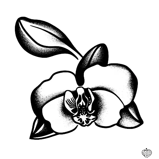 Orchid