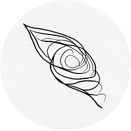 Finite Nature Of Life