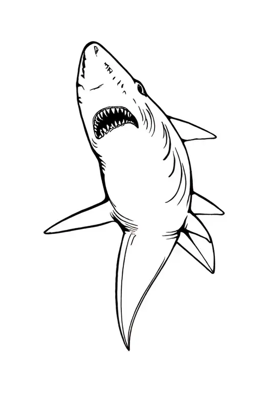 Shark And Trust Is The Enemy