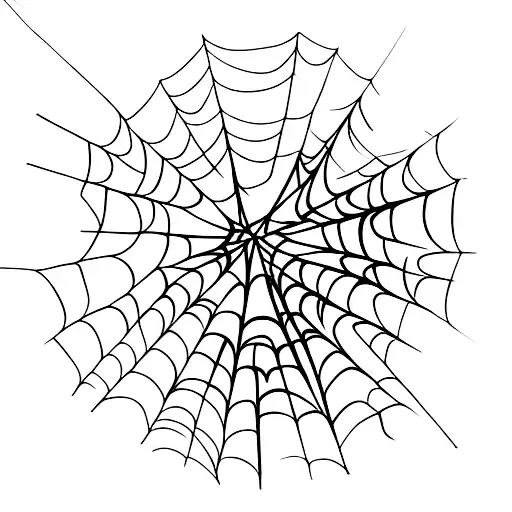 Spider Web