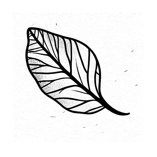 Black Poplar Leaf