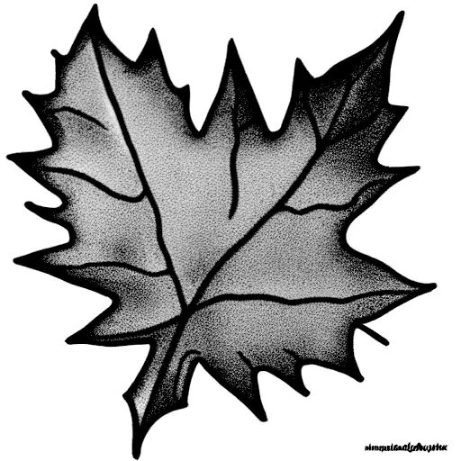 Maple Leaf