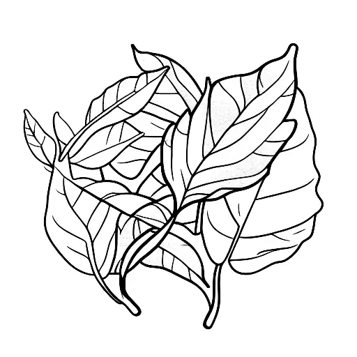 A Coffee Plant Branch