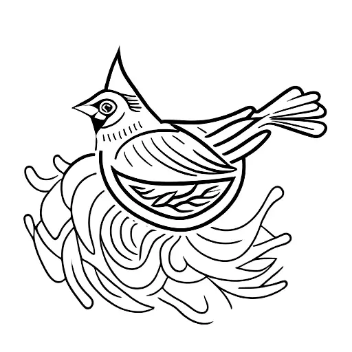 Red Cardinal Bird With A Scar On The Eye