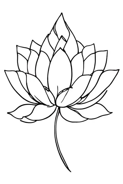 Lotus Flower