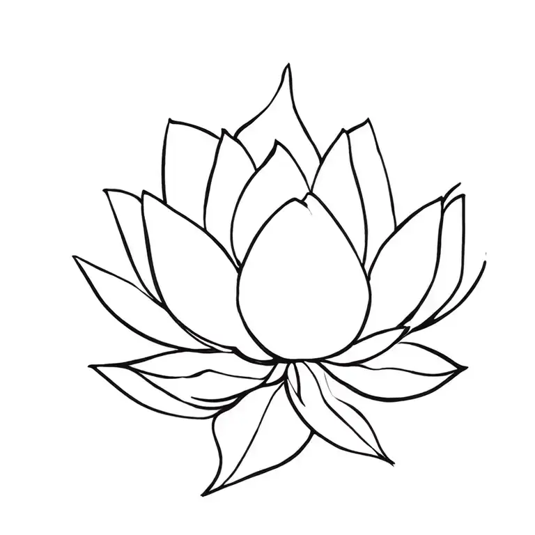 Lotus Flower