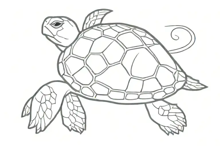 Hawaiian Turtle