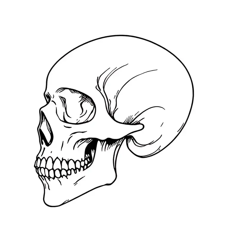 Skull Side Profile
