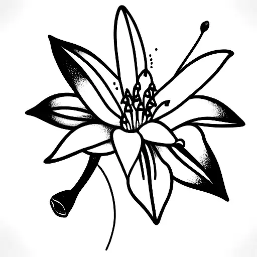 Lily Of The Valley And Larkspur And Common Hawthorn And Water Lily