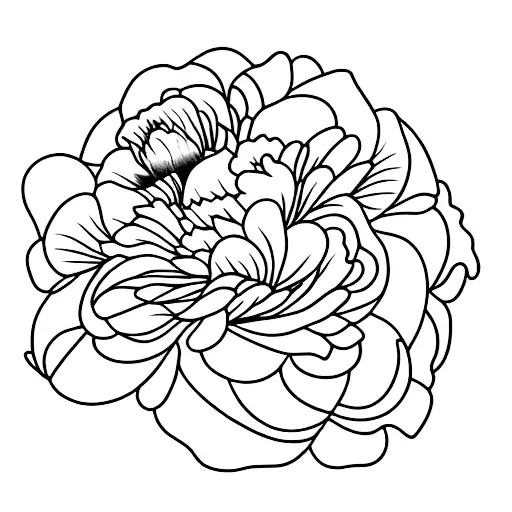 Dagger Through A Peony