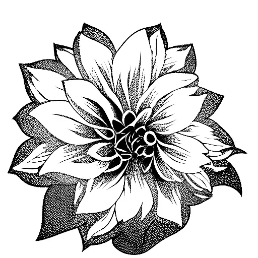 Dahlia Christine Flower With A Katana Sword