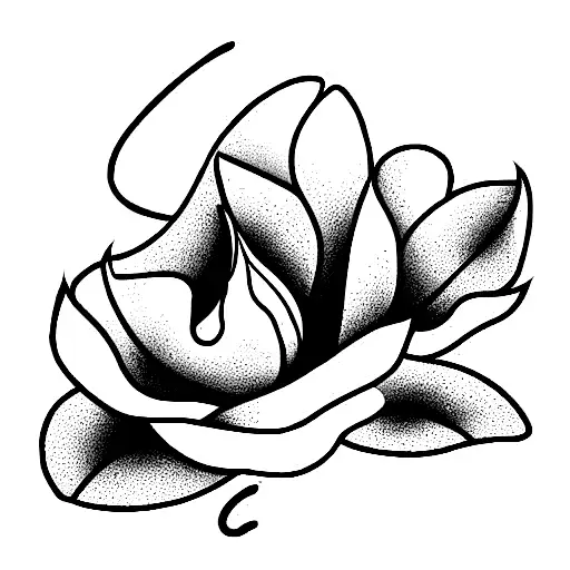 Magnolia Flower On Fire