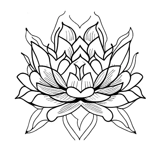 Lotus Flower