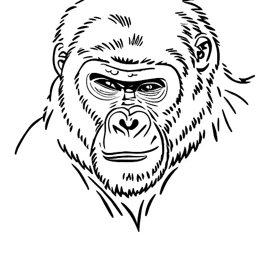 Gorilla