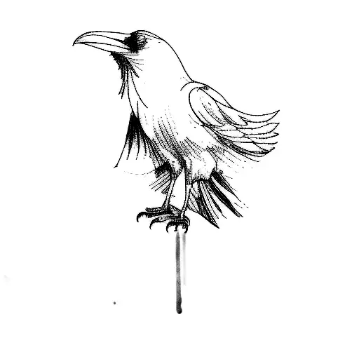 A Raven