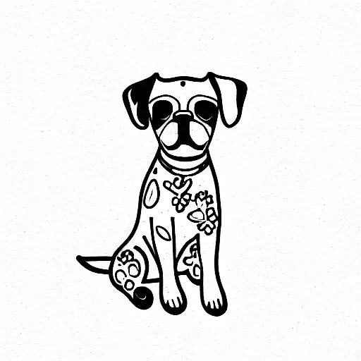 An Indie Dog Sitting With 2Legs