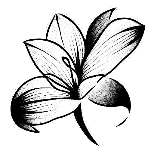 Line Aflower Sleeve Black And White