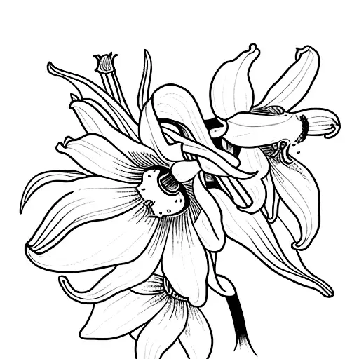 Narcissus Astor Lily Of The Valley Daisy And Morning Glory