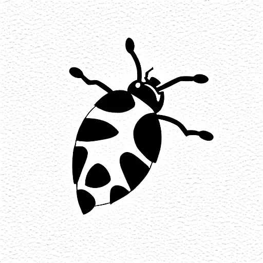 Ladybug On Jasmine Flower