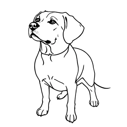 Labrador Retriever Dog