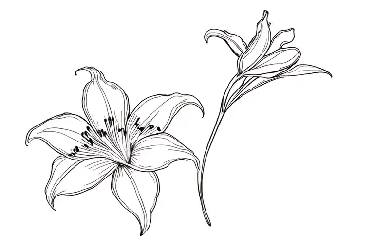 Orchid And Lily Flower