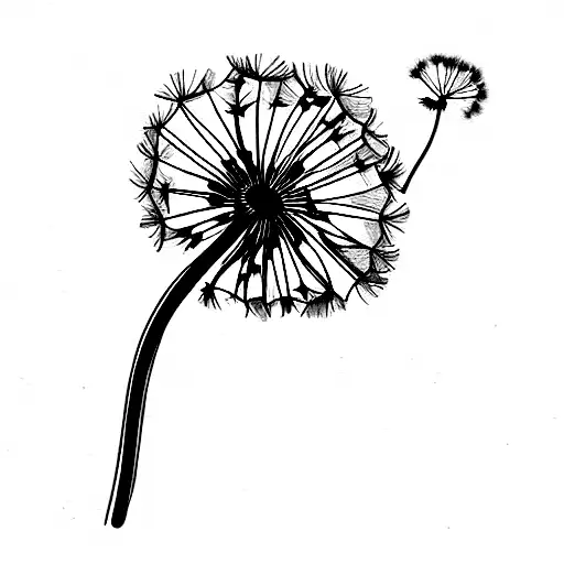 Dandelion With Poppy