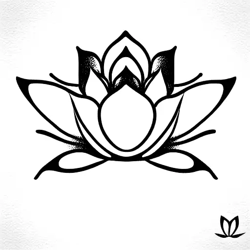Lotus Flower With Asymmetric Petals