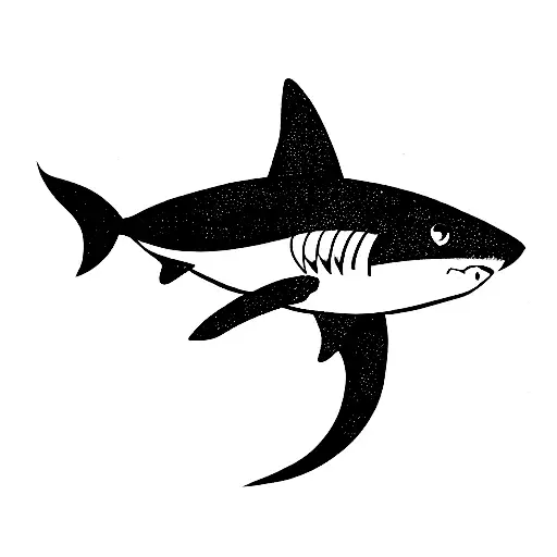 Shark With Water Background