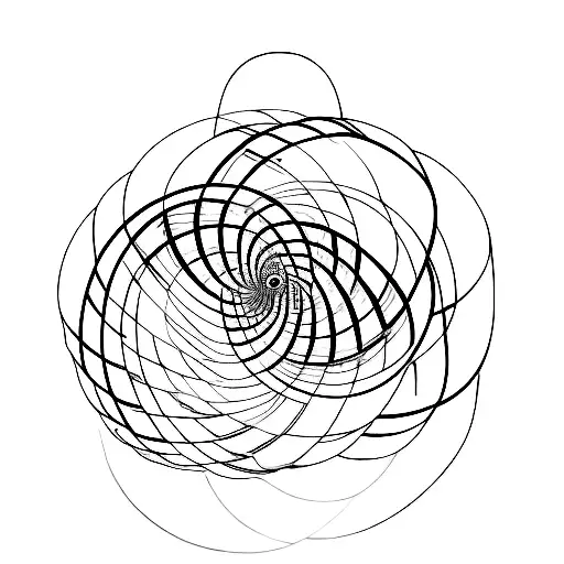 Fibonacci Spiral In Nature