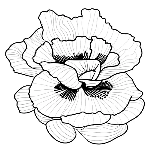 Fine Line Poppy Flower And Marigold Flower