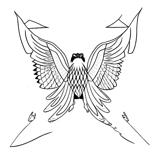 Red Tail Hawk Wingspan