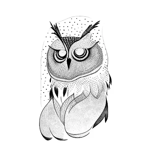 An Owl