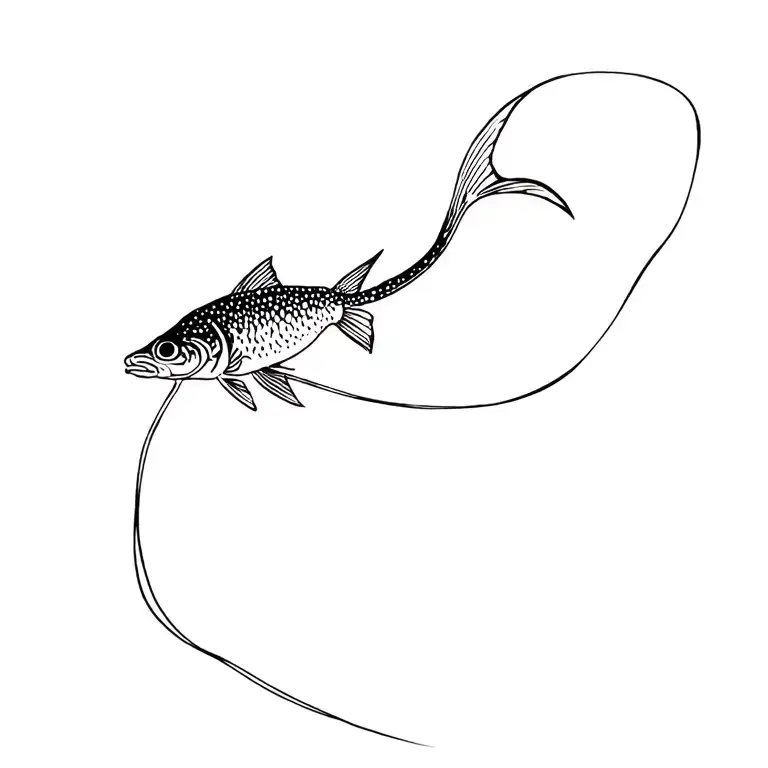 Spotted Hoplo Catfish Swimming