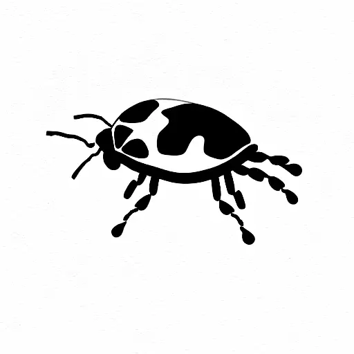 Ladybug With Firefly On Leaf