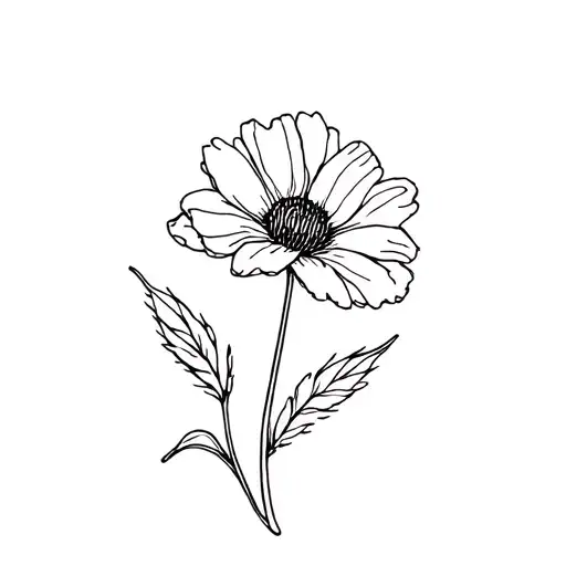 October Birth Flowers Symbolizing