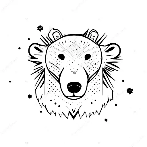 Polar Bear Looking Up At Stars