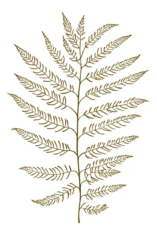 Fern Leaf
