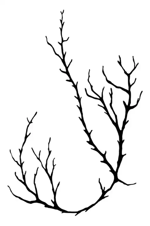 Forearm Wrap Around Tree Branch