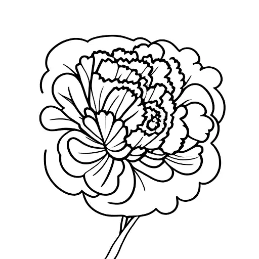 Carnation Flower With A Vertical Line And Never Give Up