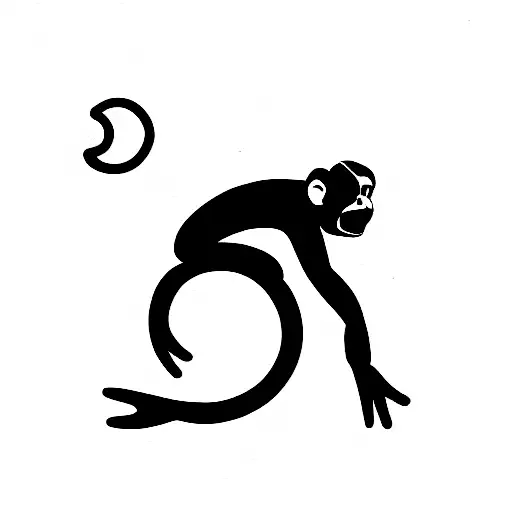 Monkey Warning Signal