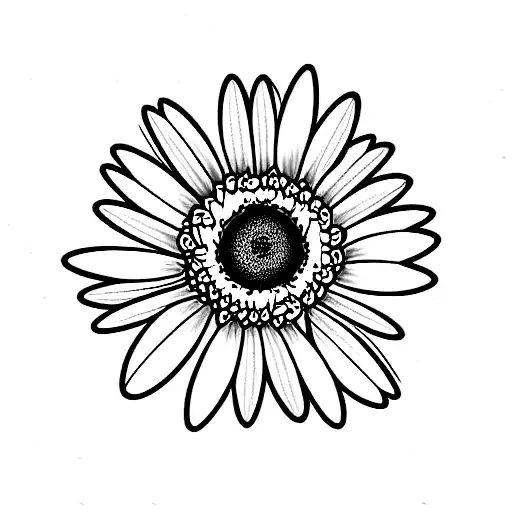 Daisy And Rose Flowers