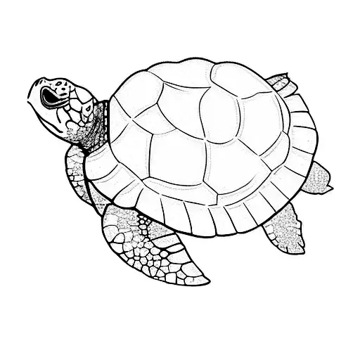 A Turtle With A Flower